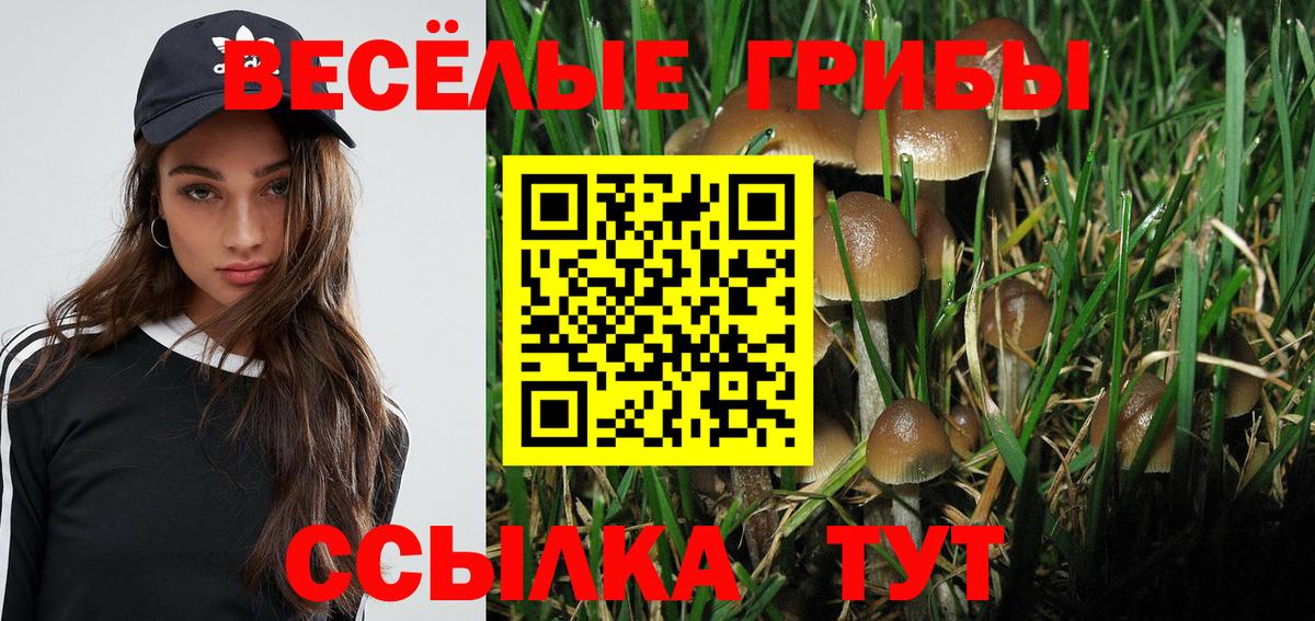 Псилоцибиновые грибы GOLDEN TEACHER Карталы